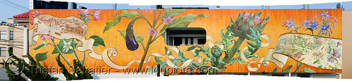 noe valley mural by mona caron (san francisco), mural, noe valley, orange, painted, painting, photo stitching, plants, vegetables
