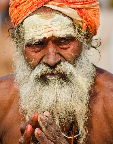 old hindu baba with white beard (india), baba, bear, fingers, hands, headwear, hindu man, hindu pilgrimage, hinduism, indian man, kumbh mela, old man, paush purnima, sadhu, tilak, tilaka, white beard