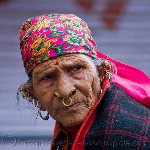 old hindu woman with ear and nose piercing - gold earrings jewelry, cartilage piercing, ear piercings, ear rim piercing, earlobes, earrings, ears, gold rings, helix piercing, indian woman, jewelry, manali, nose piercing, old woman, septum piercing