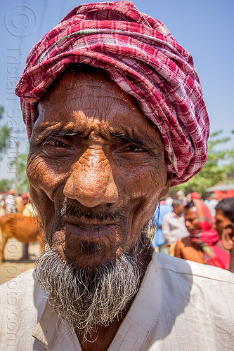 old indian muslim man with goatee (india), beard, goatee, headwear, indian man, muslim, west bengal