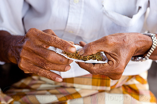 old man rolling-up hand made cigarette, cigarette paper, hands, lombok, old man, rolling tobacco