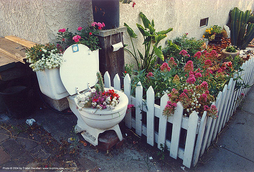 old toilet bowl turned into a flower pot - venice beach - garden, city garden, flower pot, flowers, toilet bowl, toilet seat, venice beach