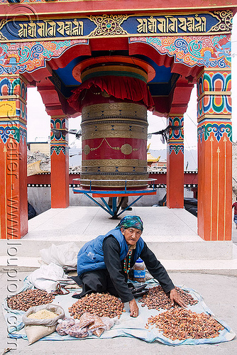 old woman selling dried apricots - tibetan prayer wheel - leh (india), dried apricots, ladakh, leh, old woman, prayer mill, prayer wheel, street seller, street vendor, tibetan, लेह