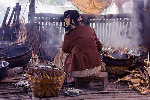 old woman smoking fish, cooking, fishes, old woman, sitting, smoke, smoked fish, smoking, tamansari, working