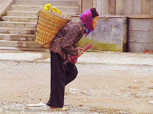 old woman with heavy bag - vietnam, heavy bag, hill tribes, indigenous, old woman, quản bạ, tám sơn