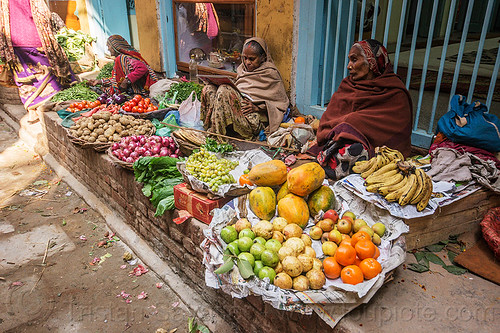 old women selling fruits and vegetables on street sidewalk (india), farmers market, fruits, indian women, merchant, old woman, old women, produce, shop, sitting, stall, street market, street seller, street vendors, varanasi, vegetables, veggies