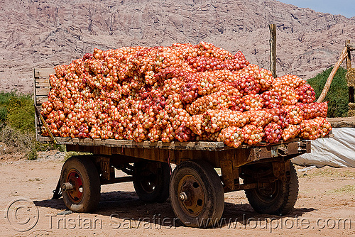 onion bags on farmer's trailer, argentina, cachi, calchaquí valley, farm trailer, farmer's, noroeste argentino, onion bags, onions, produce, valles calchaquíes, vegetable