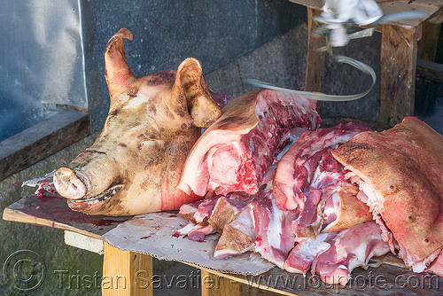 pig head and fresh pork meat - shop - sagada (philippines), meat market, meat shop, pig head, pork meat, raw meat, sagada, stall