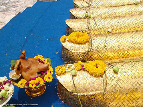 พระพุทธรูป - พระบาท - pig head offering - golden foot of giant standing buddha statue - thailand, bangkok, buddha image, buddha statue, buddhism, buddhist temple, foot, giant buddha, golden color, offering, pig head, sculpture, wat, yellow flowers, บางกอก, พระพุทธรูป