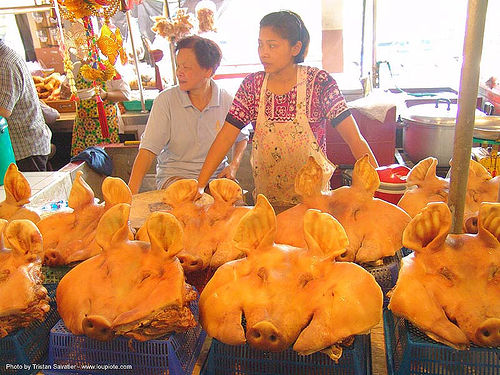 pig heads - thailand, asian woman, asian women, cooked meat, meat market, meat shop, merchant, pig heads, pigs, porks, vendor