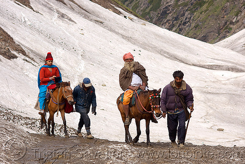 pilgrims on ponies on glacier trail - amarnath yatra (pilgrimage) - kashmir, amarnath yatra, glacier, hindu pilgrimage, horseback riding, horses, kashmir, kashmiris, mountain trail, mountains, pilgrims, ponies, pony-men, snow