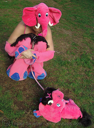 pink elephants (halloween, san francisco), costumes, dog, halloween, pink elephants, woman