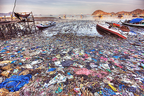 plastic trash on beach, beach, boats, environment, flores island, garbage, labuan bajo, low tide, ocean, pantai, plastic trash, pollution, sea, seashore, single use plastics