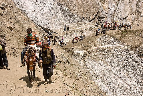ponies and pilgrims on the trail - amarnath yatra (pilgrimage) - kashmir, amarnath yatra, caravan, glacier, hindu pilgrimage, horseback riding, horses, kashmir, kashmiris, mountain trail, mountains, pilgrims, ponies, snow