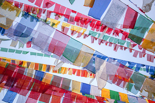 prayer flags (india), buddhism, darjeeling, observatory hill, prayer flags, tibetan