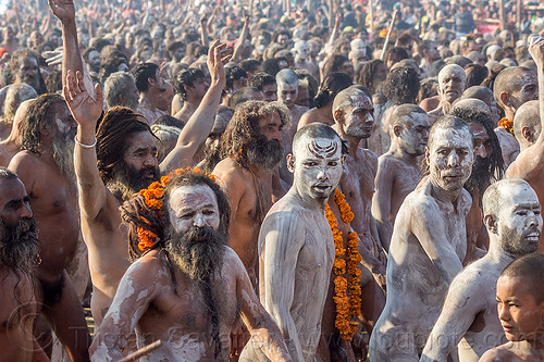 procession of naga babas covered with vibhuti sacred ash at kumbh mela (india), crowd, hindu pilgrimage, hinduism, holy ash, kumbh maha snan, kumbh mela, mauni amavasya, men, naga babas, naga sadhus, sacred ash, triveni sangam, vibhuti, walking