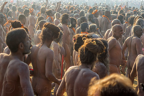 procession of naga babas (hindu devotees) - kumbh mela (india), crowd, hindu pilgrimage, hinduism, holy ash, kumbh maha snan, kumbh mela, mauni amavasya, men, naga babas, naga sadhus, sacred ash, triveni sangam, vibhuti, walking