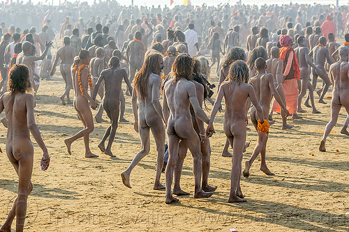 procession of naga babas with body covered with ash - kumbh mela (india), crowd, hindu pilgrimage, hinduism, holy ash, kumbh maha snan, kumbh mela, mauni amavasya, men, naga babas, naga sadhus, sacred ash, triveni sangam, vibhuti, walking