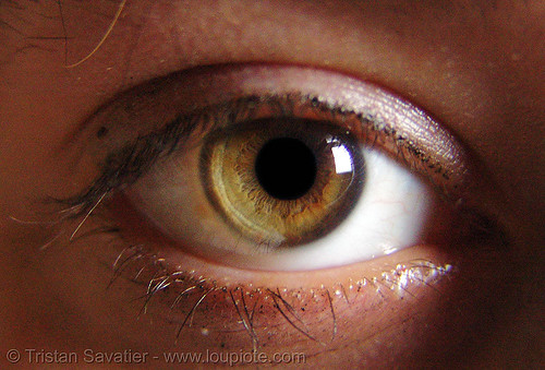 rachel's eye, beautiful eyes, closeup, eye color, iris, rachel shank, woman