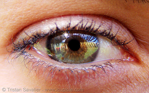 rawia's eye, beautiful eyes, closeup, eye color, mascara, rawia, woman