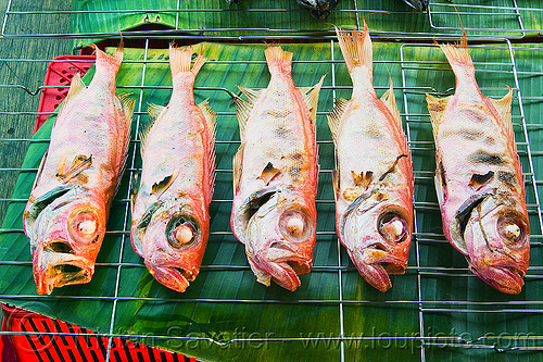 red snapper - grilled fishes, barbecued, bbq, borneo, cooked, fishes, food market, grilled, malaysia, red snapper, restaurant, seafood