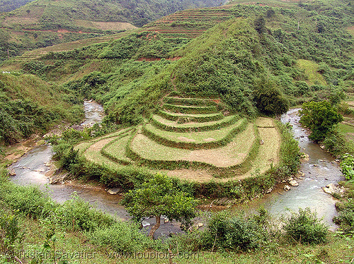 rice fields - terrace farming in river bend- between tám sơn and yên minh - vietnam, agriculture, bend, landscape, loop, rice fields, rice paddies, river, terrace farming, terraced fields, valley