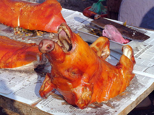 roasted piglet head, cooked, food, lang sơn, meat, pig head, pork, roasted pig, roasted piglet