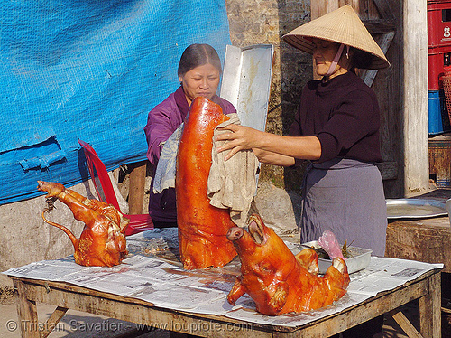 roasted piglet - vietnam, cooked, food, lang sơn, meat, pig head, pork, roasted pig, roasted piglet
