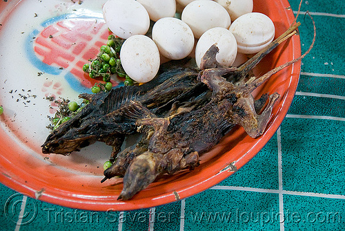 roasted rodents (laos), bushmeat, cooked, food, rats, roasted, rodents, squirrels