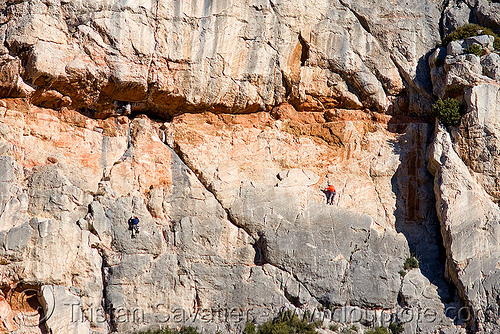 rock climbers on vertical cliff - montagne sainte victoire (france), aix-en-provence, france, montagne sainte victoire, mountain climbing, mountaineer, mountaineering, mountains, rock climbers, rock climbing, sheer cliff