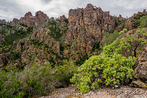 rock formations - pinnacles national park (california), arctostaphylos, cliff, hiking, landscape, manzanita, pinnacles national park, rock formations