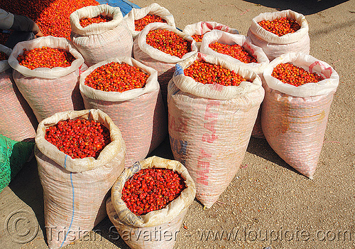 rose-hips bags, bags, bulk, cynorhodon, cynorrhodon, farmers market, fruits, gratte-cul, red, rose haw, rose hips