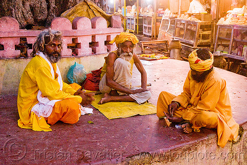 sadhus (hindu holy men) - orchha (india), babas, beard, hindu holy man, hinduism, old man, orchha, priests, sadhu