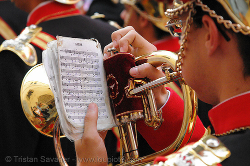 saxhorn player reading music - amor - hermandad de san bernardo - semana santa en sevilla, easter, hermandad de san bernardo, red, semana santa, sevilla