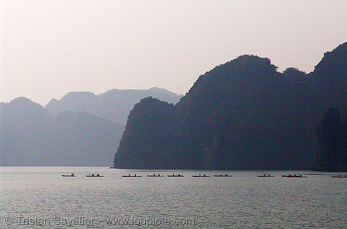 sea kayaks in halong bay - vietnam, boats, canoës, cat ba island, cát bà, halong bay, kayakers, kayaks, paddle, paddling, sailing, sea canoes, tourists