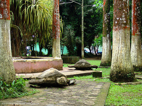 sea-turtles - parque vargas - puerto limon (costa rica), costa rica, park, parque balvanero vargas, parque vargas, puerto limon, sculptures, sea-turtles, trees