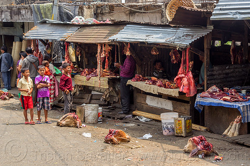severed cow heads at meat market (india), beef lungs, children, cow heads, east khasi hills, kids, meat market, meat shop, meghalaya, pynursla, raw meat, severed head, street seller