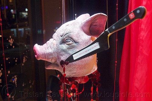 severed pig head - halloween shop window display, butcher knife, cliff's variety, fake blood, halloween, hardware store, latex mask, pig head, pig mask, severed head, shop window display