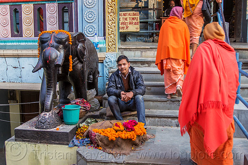 shankar viman mandapam - temple entrance in daraganj, bhagwa, black elephant, daraganj, elephant sculpture, flower offerings, hindu pilgrimage, hindu temple, hinduism, kumbh mela, man, marigold flowers, saffron color, sitting, steps