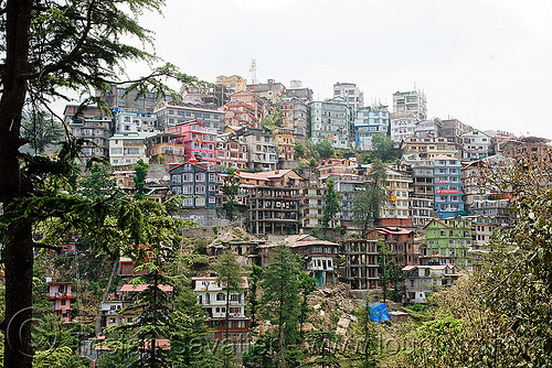 shimla skyline (india), buildings, city, cityscape, houses, mountainous, mountains, shimla, steep, town