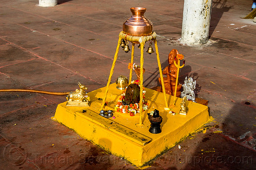 shiva linga and kalash (india), bells, brass jar, flower offerings, hinduism, kalash, rishikesh, shiva linga, shiva lingam, shivling, water jar, yellow