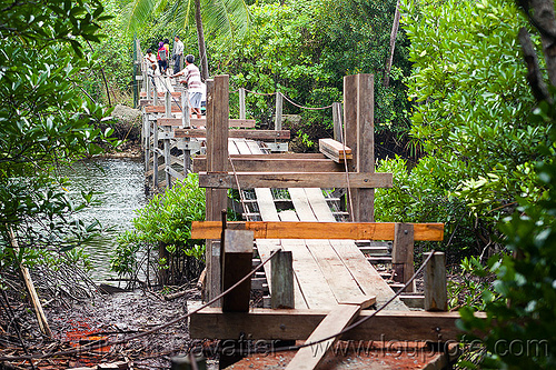 small bridge being repaired, borneo, construction, lumber, malaysia, mangrove, pedestrian bridge, rain forest, river, rusty, shoring, wooden