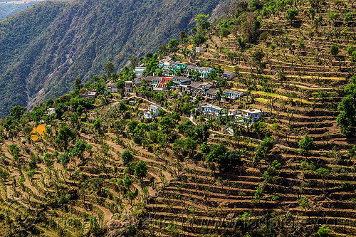 small village and terraced fields in himalayas (india), agriculture, landscape, mountains, terrace farming, terraced fields, valley, village