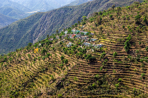 small village and terraced fields in indian himalayas, agriculture, landscape, mountains, terrace farming, terraced fields, valley, village