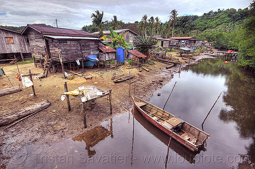 small village near river (borneo), boat landing, borneo, houses, malaysia, mangrove, moored, mooring poles, rain forest, river boat, rowing boat, small boats, village