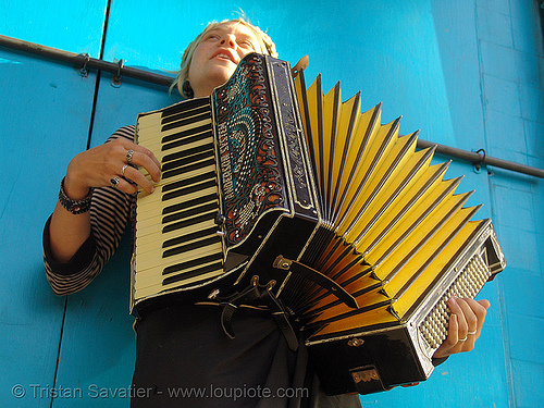 sparrow playing accordion (san francisco), accordeon, accordion player, anderson system, blue, haight street, piano accordion, sparrow, yellow