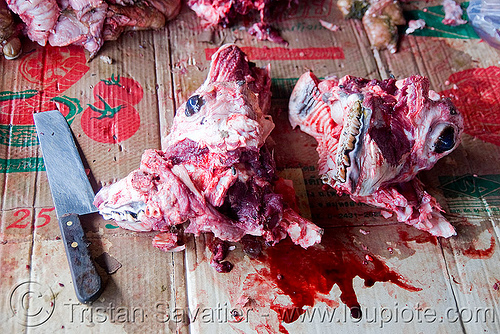 split cow head in meat market (laos), beef, blood, butcher knife, cleaver, cow head, deboned, eyes, meat market, meat shop, raw meat, split, teeth, water buffalo