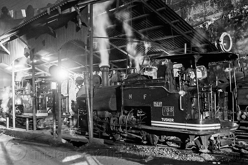steam train locomotives - darjeeling (india), 788 tusker, darjeeling himalayan railway, darjeeling toy train, narrow gauge, night, railroad, smoke, smoking, steam engine, steam locomotive, steam train engine, train depot, train yard