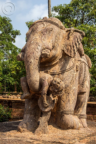 stone elephant - konark sun temple (india), hindu temple, hinduism, konark sun temple, sculptures, statue, stone elephant