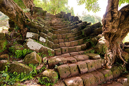 stone stairs - wat phu champasak (laos), khmer temple, ruins, stone stairs, trees, wat phu champasak